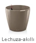 Lechuza-akıllı